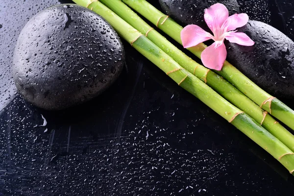 Roze Bloem Met Zwarte Stenen Bamboebos Natte Zwarte Achtergrond Spa — Stockfoto