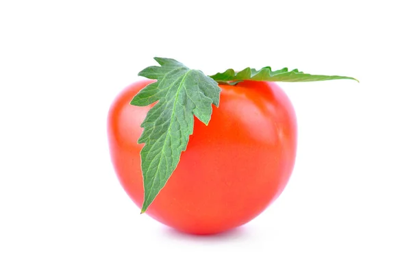 One Tomato Green Leaves White Background — Stock Photo, Image