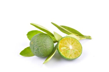 beyaz arka plan üzerinde yaprakları ile kireç