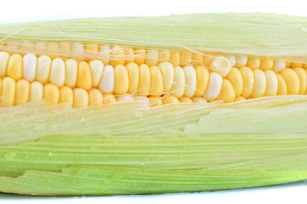 Кукурудза Білому Тлі — стокове фото