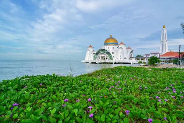 Poranny Widok Malacca Straits Meczet Masjid Selat Melaka Jest Meczet — Zdjęcie stockowe