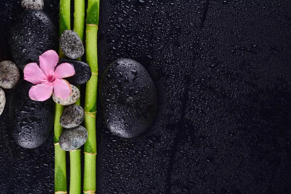 Pink Flower Black Stones Bamboo Grove Wet Black Background Spa — Stock Photo, Image