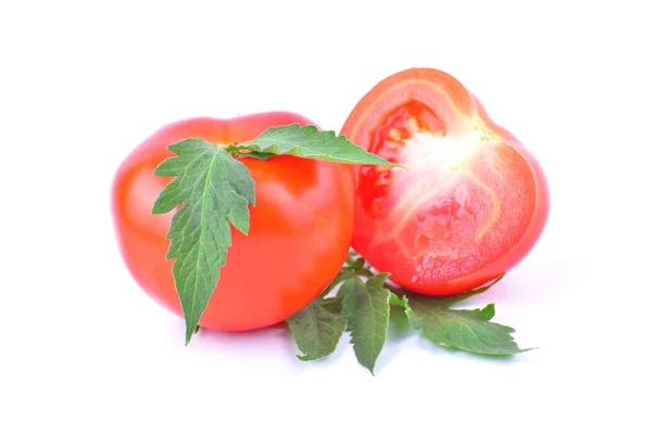 Tomatoes Green Leaves White Background — Stock Photo, Image