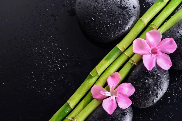 Pink Flower Black Stones Bamboo Grove Wet Black Background Spa Stock Photo