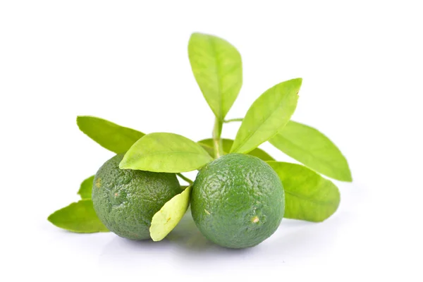 Limes Leaves White Background Stock Photo