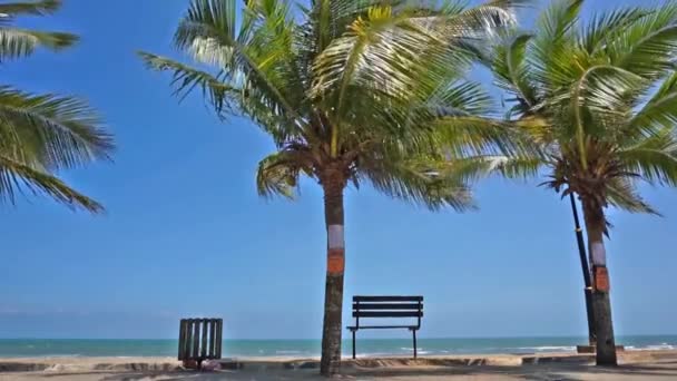 Palmeras Fondo Playa Tropical — Vídeo de stock