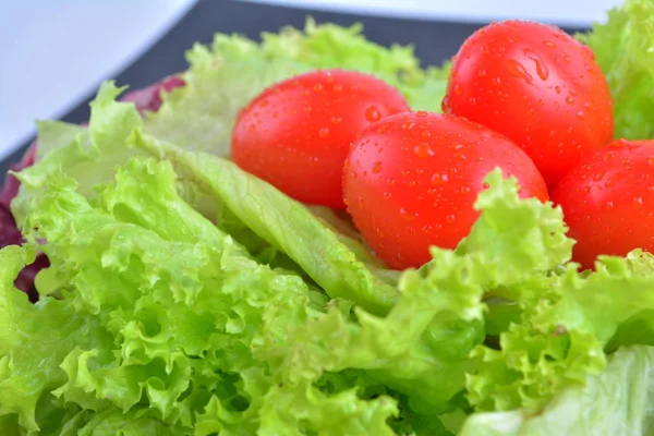 Tomates Frescos Folhas Salada Cozinha — Fotografia de Stock