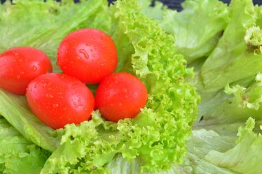 taze domates ve salata mutfakta yaprakları