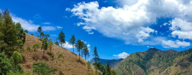 Sumatera Utara, Endonezya 'daki Danau Toba ya da Toba Gölü' nün güzel manzarası