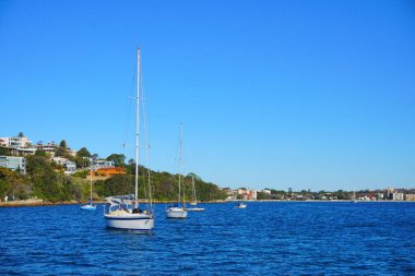 Sydney Limanı 'nda mavi gökyüzü olan tekneler