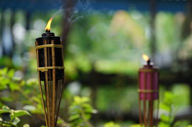 Bambu sitronella doğal arkaplanı yakar 