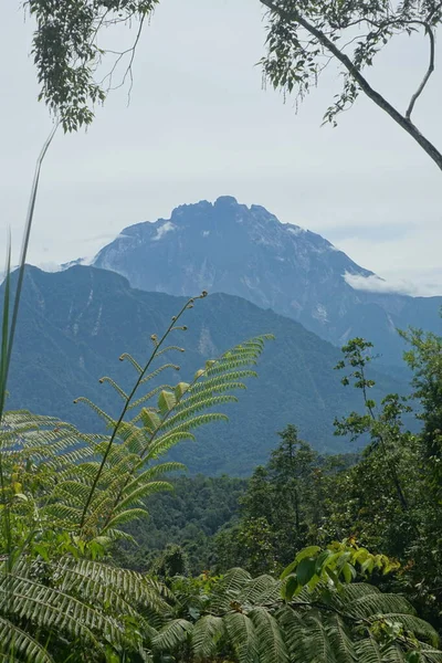 Vista Del Monte Kinabalu Sabah Malasia — Foto de Stock
