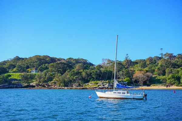 Boten Sydney Harbour Met Blauwe Luchten — Stockfoto