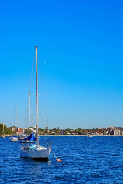 Bateaux Sur Port Sydney Avec Ciel Bleu — Photo