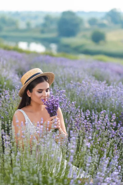 Blumen — Stockfoto