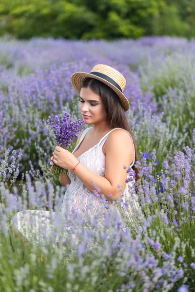 Lavanda — Fotografia de Stock