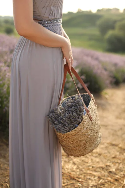 Basket — Stock Photo, Image