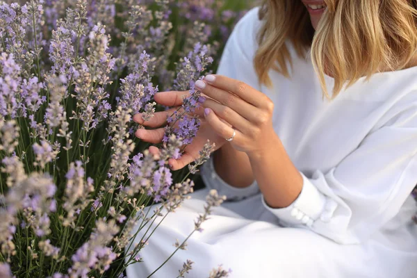 Flowers — Stock Photo, Image