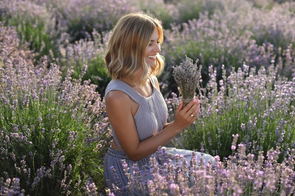 Lavender — Stock Photo, Image