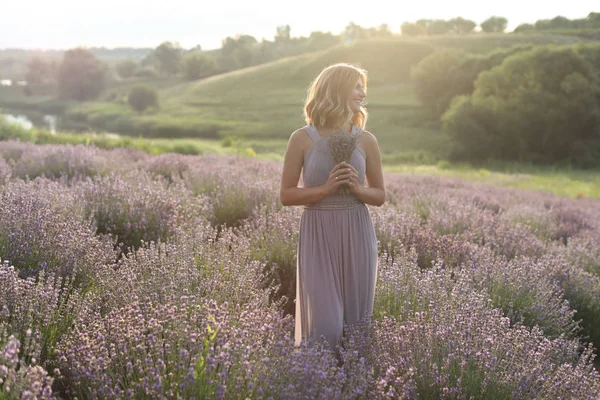 Field — Stock Photo, Image