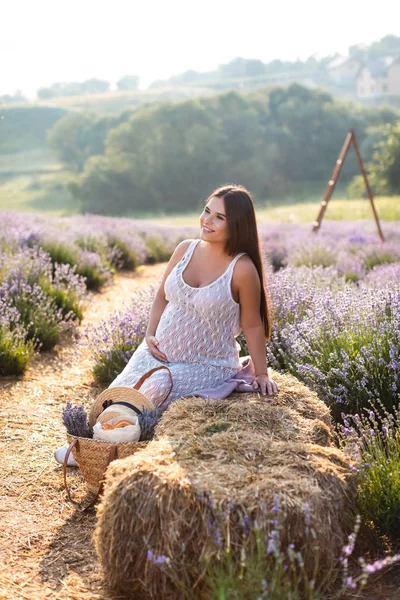 Mujer embarazada sonriente sentada en la paca de heno en el campo de lavanda violeta y mirando hacia otro lado - foto de stock