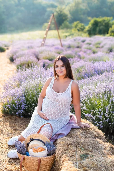 Picnic. - foto de stock