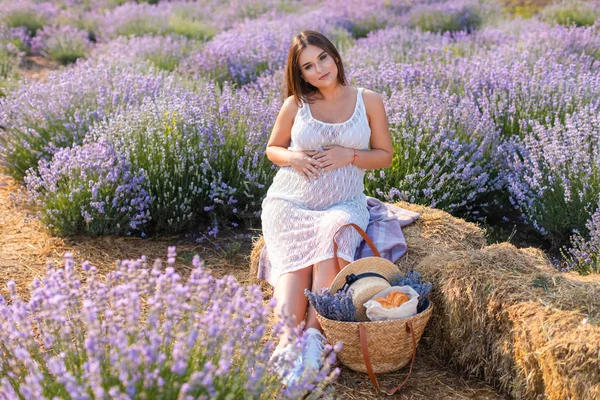 Mulher grávida sentada no fardo de feno no campo de lavanda violeta e olhando para a câmera — Fotografia de Stock