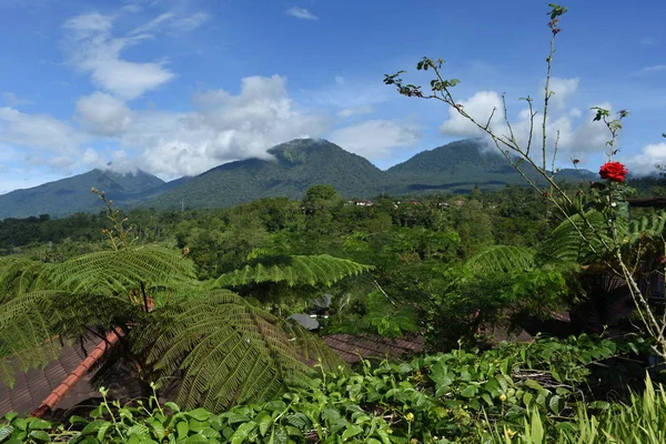 Захватывающий Вид Горы Пути Вулкану Бали — стоковое фото