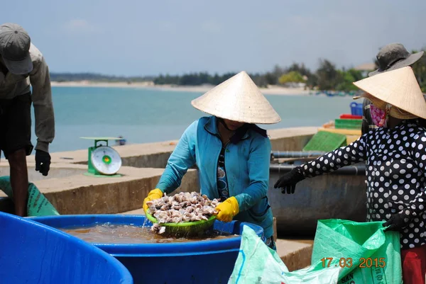 Vietnamlılar deniz kabukları protein çıkarılması için kesmek için çalışıyoruz