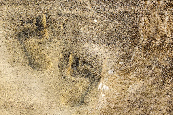 Ayak izi kum plaj. Kopya alanı 