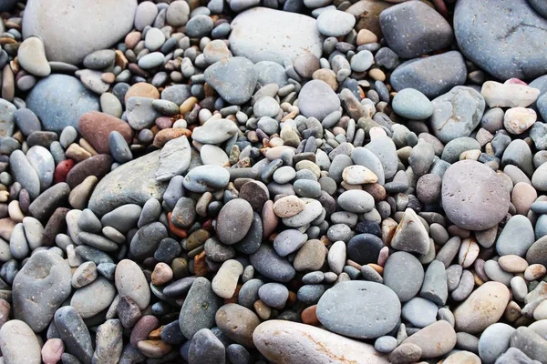 Deniz kıyısında renkli parlak ıslak çakıl.