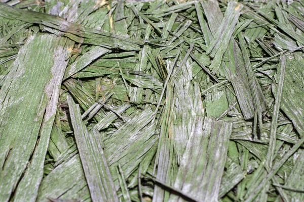 Preslenmiş ahşap panel arka plan, odaklı iplikçik kurulu dikişsiz doku 