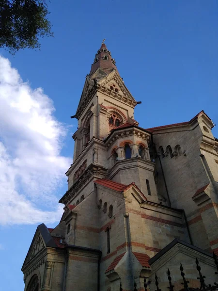 Katolik Katedrali 'nin güzel manzarası 