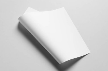 A3 Poster Mock-Up-eğri