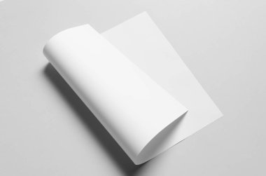 A3 Poster Mock-Up-eğri