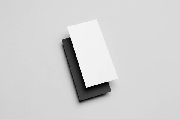 Black & White DL Flyer Mock-Up