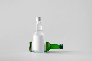 Minyatür ruhları / şişe Mock-Up-iki şişe içki. Boş etiket