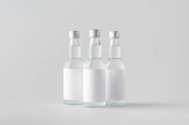 Minyatür ruhları / şişe Mock-Up-üç şişe içki. Boş etiket