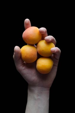 Birden fazla kayısı siyah arka plan üzerinde tutan el