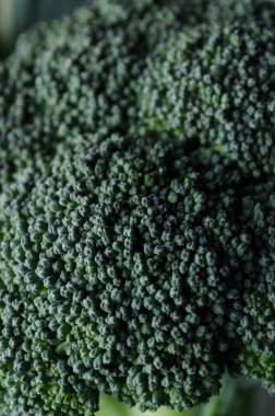 Brokoli baş yakın çekim.