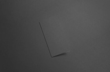 DL ikiye katlanmış broşür Mock-Up - Siyah ön