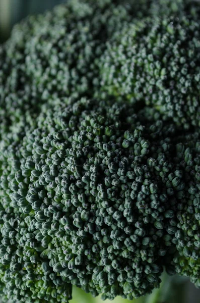 Brokoli baş yakın çekim.