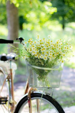 Chamomiles sepeti ile bir bycicle var