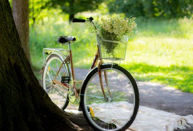 Çiçek sepeti olan bir bycicle var.