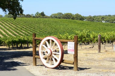 Kapı, Barossa Valley, Güney Avustralya, üzüm asmaları satırlarında wagen tekerlek.