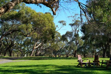 Güney Avustralya Mclaren Vale Şarapçılık bölgesinin doğal tepenin sayısı.