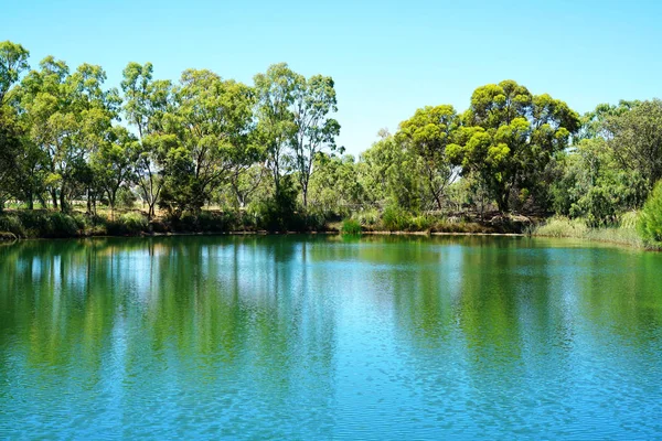 Großer Teich in natürlicher australischer Buschlandschaft. — Stockfoto