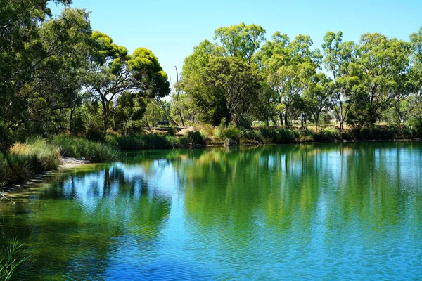 Großer Teich in natürlicher australischer Buschlandschaft. — Stockfoto