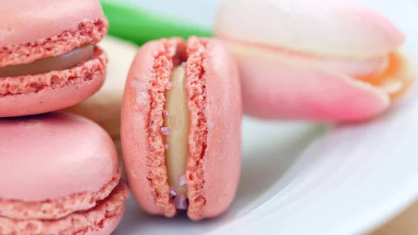 Biscoitos macaron coloridos closeup . — Fotografia de Stock
