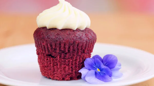 Rode fluwelen cupcake, close-up. — Stockfoto